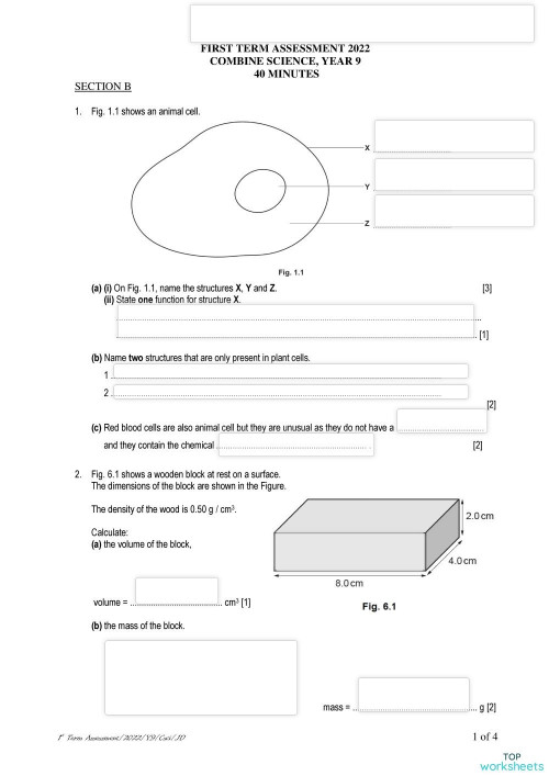 biology interactive worksheets and online exercises topworksheets