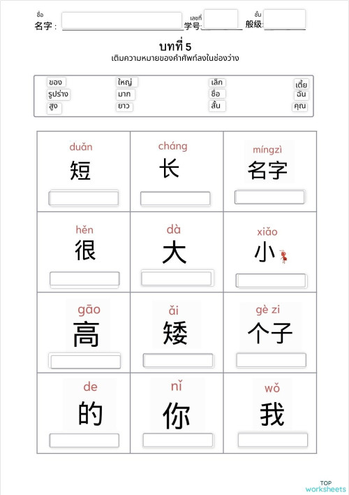 中文的互动式练习册和在线练习 | TopWorksheets