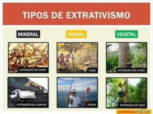 Extrativismo. Ficha interativa | TopWorksheets