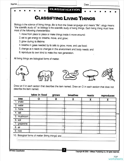 Classification Of Living Things Worksheet