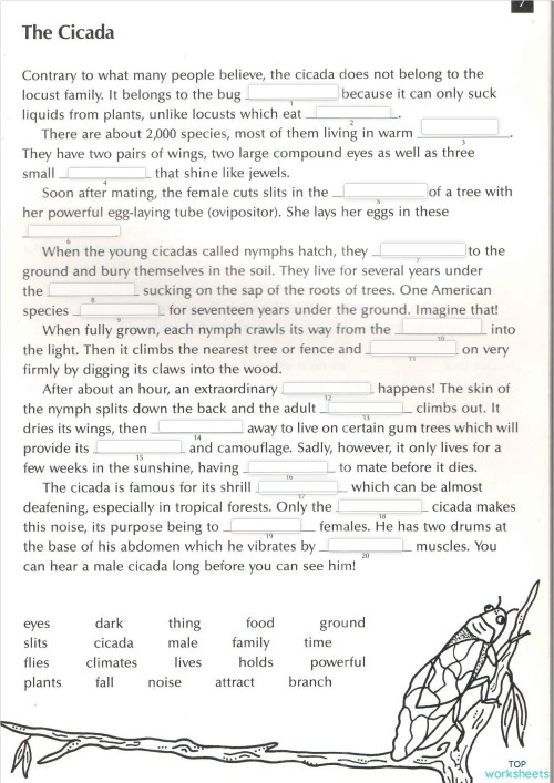 7. Cicada Cloze. Interactive worksheet | TopWorksheets