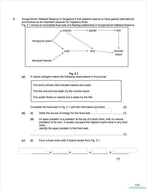 Ecosystem: interactive worksheets and online exercises | TopWorksheets