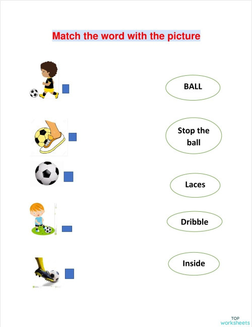 Match the image to the correct word. Interactive worksheet | TopWorksheets