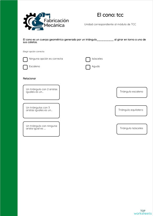 El cono: tcc. Ficha interactiva | TopWorksheets