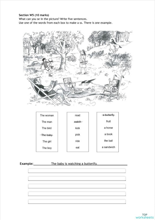 Preliminary- W5 practice. Interactive worksheet | TopWorksheets