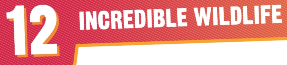 Unit 12 Vocabulary Pag 48 Interactive Worksheet Topworksheets