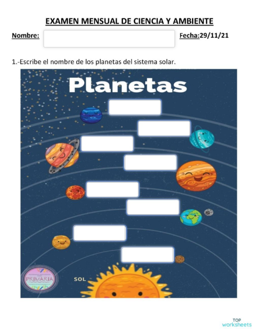 EXAMEN DE CIENCIA Y AMBIENTE NOVIEMBRE. Ficha interactiva | TopWorksheets