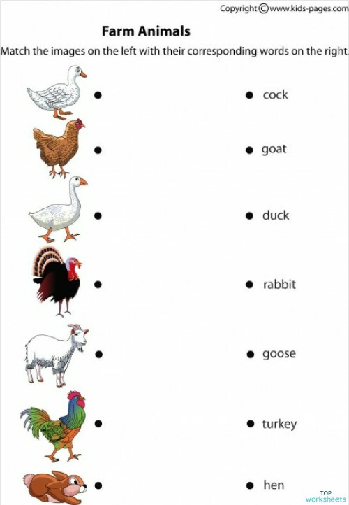 matching worksheet. Interactive worksheet | TopWorksheets