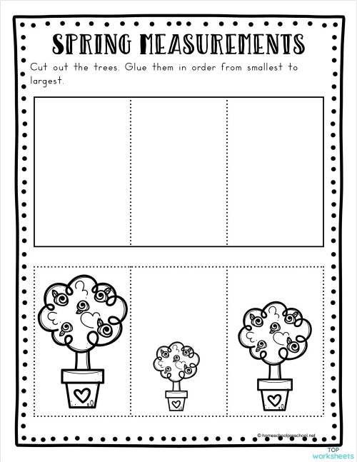 Sizes interactive worksheets and online exercises topworksheets