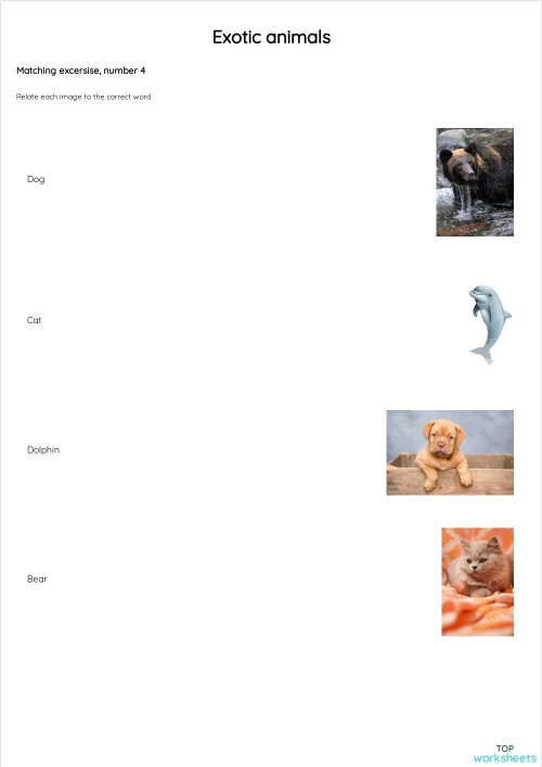 Exotic animals activity 4. Interactive worksheet | TopWorksheets