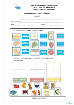 Evaluación de ciencia y tecnología julio. Ficha interactiva | TopWorksheets