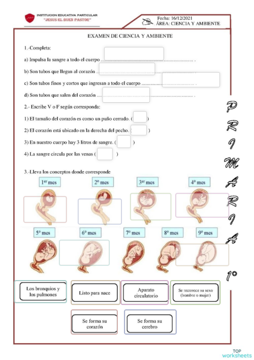 CIENCIA Y AMBIENTE 1°. Ficha interactiva | TopWorksheets