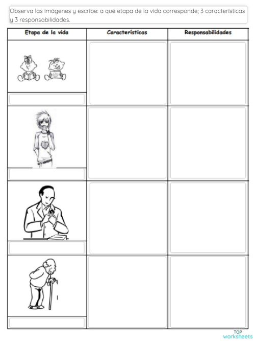Etapas del desarrollo humano.. Ficha interactiva TopWorksheets Etapas del desarrollo humano.. Ficha interactiva TopWorksheets