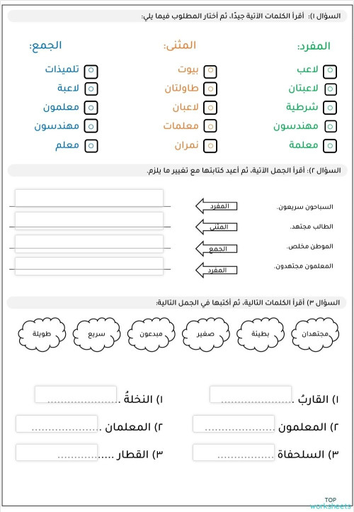 Layla's public page | TopWorksheets