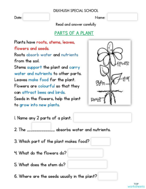 natural science interactive worksheets and online exercises topworksheets