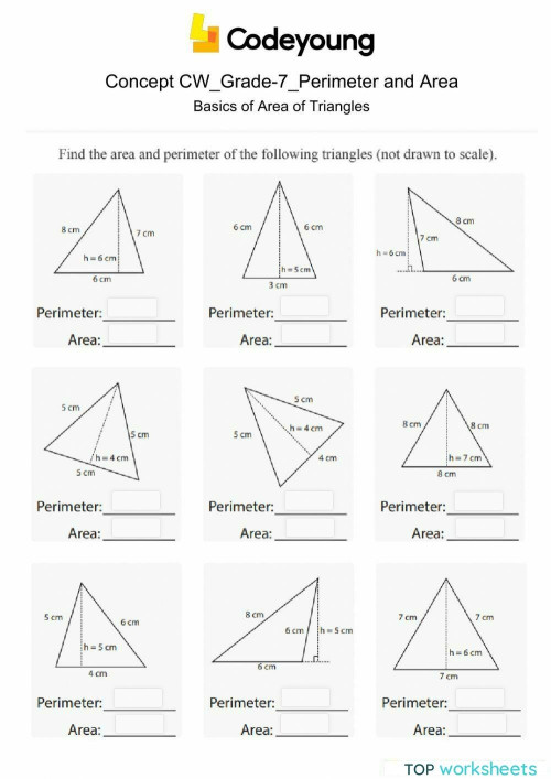 Basics of Area of Triangles Concept CW. Interactive worksheet ...