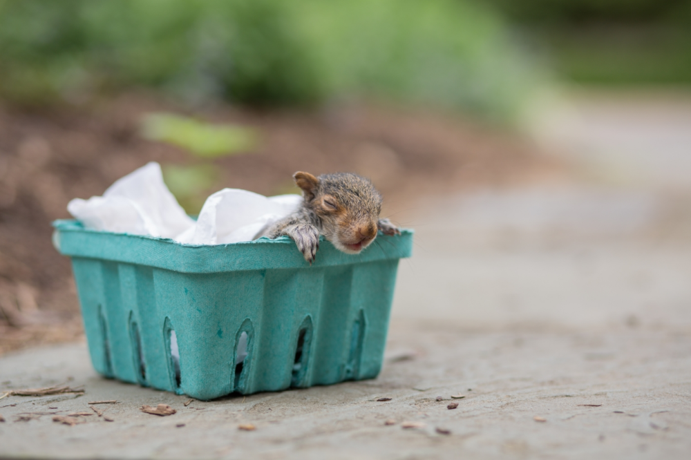 reduce reuse recycle. Interactive worksheet | TopWorksheets