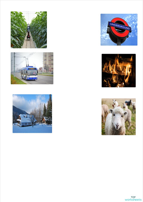 ADJECTIVE ORDER : OSASCOMP. Interactive worksheet | TopWorksheets