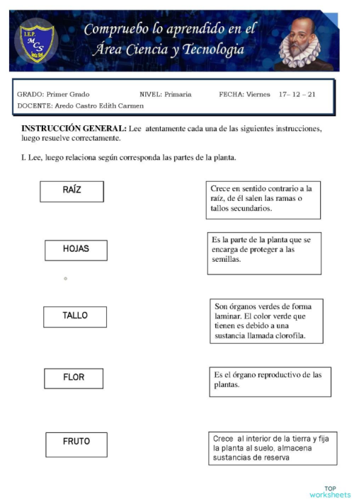 Evaluación de Ciencia y Tecnología 8. Ficha interactiva | TopWorksheets