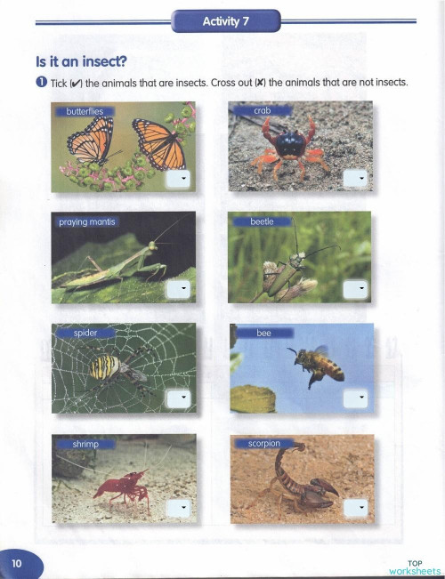 WORKBOOK ACTIVITY 7. Interactive worksheet | TopWorksheets