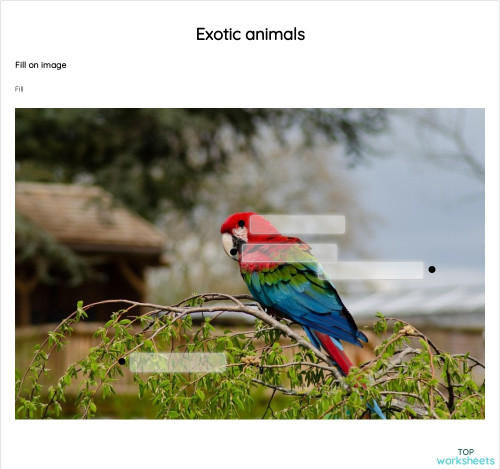 Exotic animals. Interactive worksheet | TopWorksheets