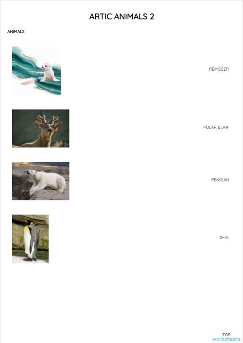 ARTIC ANIMALS 2. Interactive worksheet | TopWorksheets