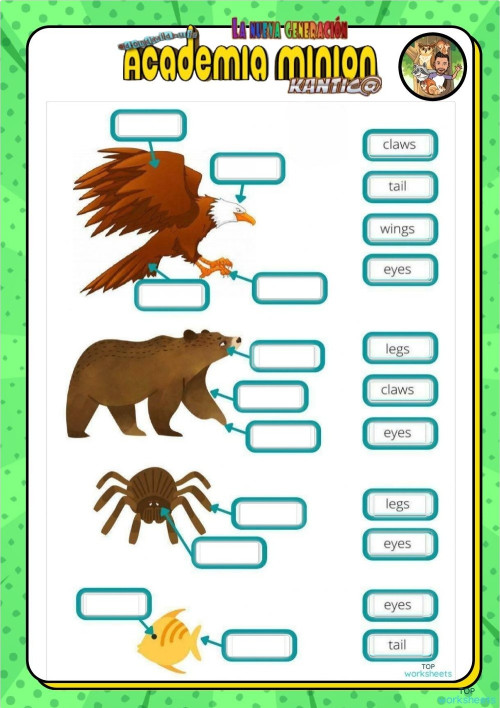 ANIMAL BODY PARTS. Interactive worksheet TopWorksheets