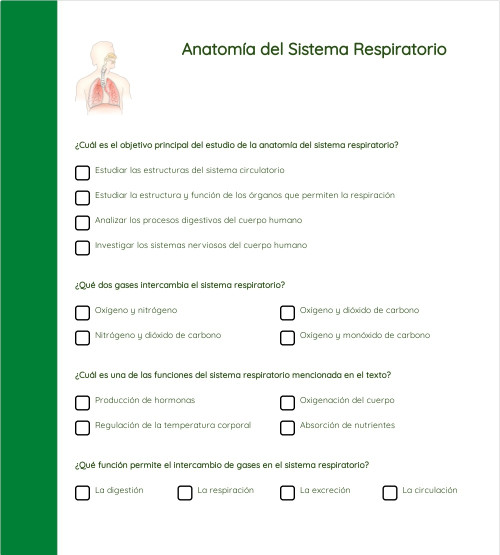 Anatomía del Sistema Respiratorio. Ficha interactiva | TopWorksheets