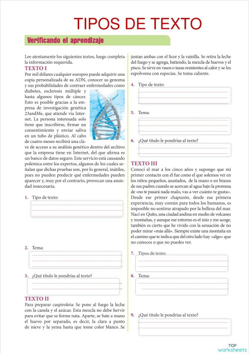 R. verbal: fichas interactivas y ejercicios online | TopWorksheets