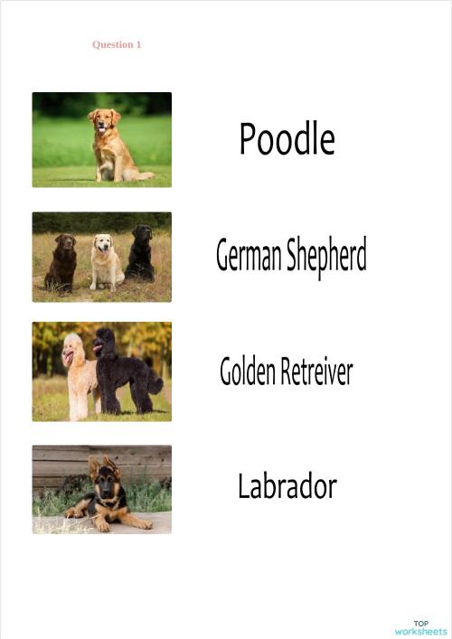 Activity 9. Interactive worksheet | TopWorksheets