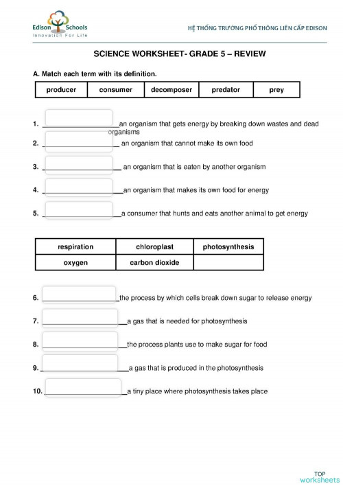 Grade 5. Science Workshee. Interactive worksheet | TopWorksheets