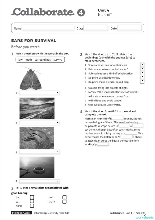 Collaborate 4 - Kick-Off 4. Interactive worksheet | TopWorksheets
