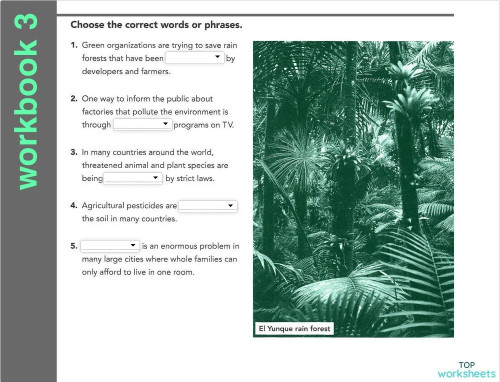 workbook 03. Interactive worksheet | TopWorksheets