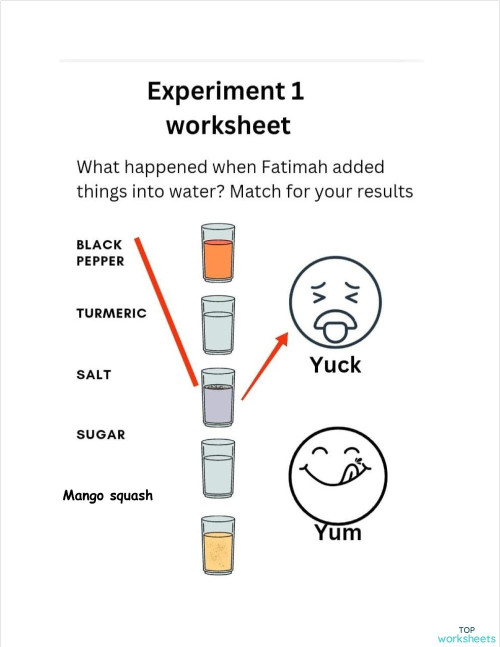 Science Experiment-1. Interactive worksheet | TopWorksheets