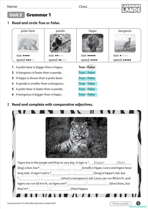 2nd Junior LL3 UNIT 3 grammar 1. Interactive worksheet | TopWorksheets