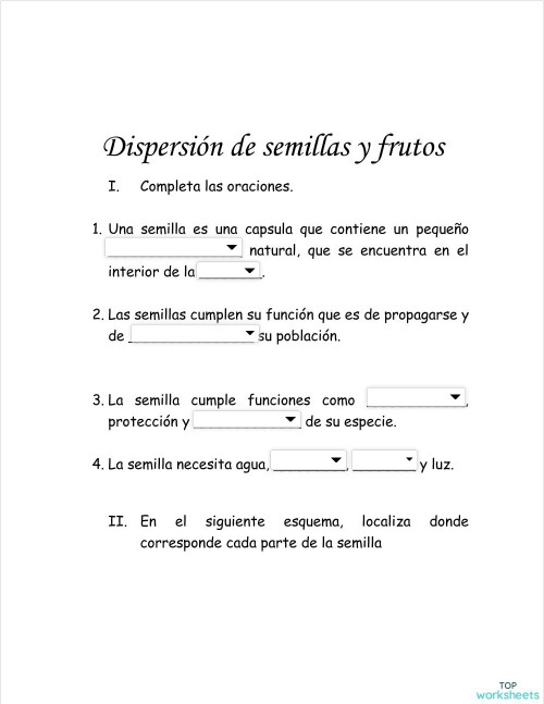 Dispersión de semillas y fritos. Ficha interactiva | TopWorksheets