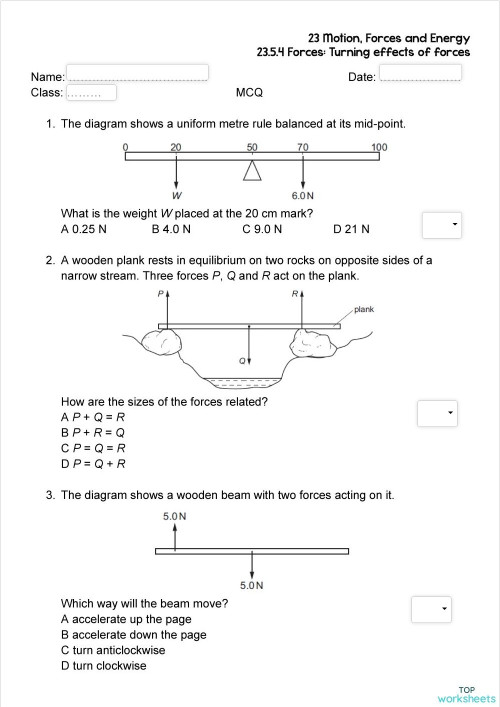 Turning Effects of Forces. Interactive worksheet TopWorksheets