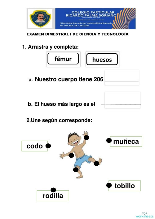Examen Bimestral I de Ciencia y Tecnología. Ficha interactiva ...