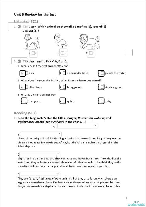 English language interactive worksheets and online exercises