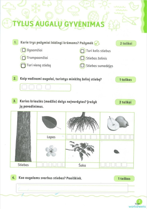 2kl-pas-p-pasitikrinamasis-darbas-nr-2-tylus-augal-gyvenimas