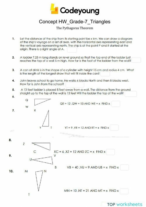 The Pythagoras Theorem Concept HW. Interactive worksheet | TopWorksheets