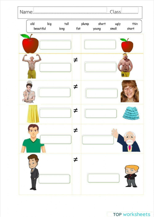 Fill opposite Adjective. Interactive worksheet | TopWorksheets