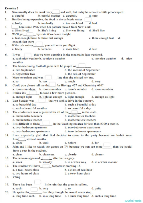 PROBLEMS WITH MODIFIERS 02. Interactive worksheet | TopWorksheets