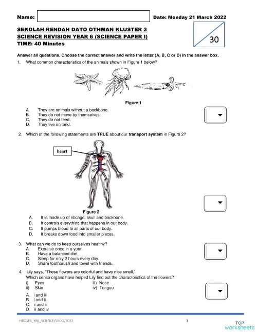 natural science interactive worksheets and online exercises topworksheets