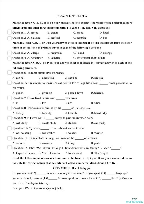Practice Test 6. Interactive worksheet | TopWorksheets