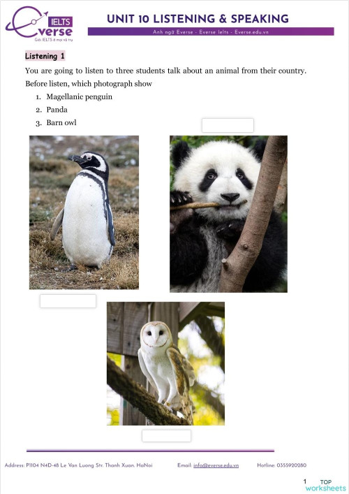 Flyers - Listening part 1. Interactive worksheet | TopWorksheets