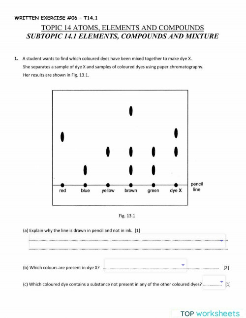Chromatography interactive. Interactive worksheet TopWorksheets