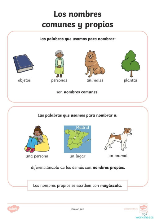 Español 2 Trim Sustantivos y artículos. Ficha interactiva