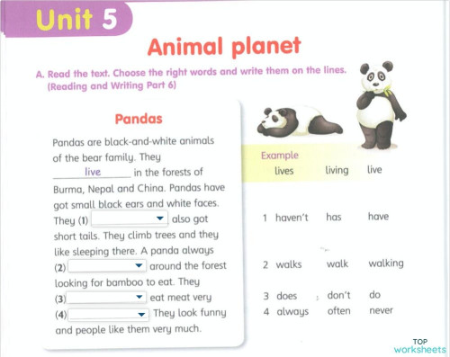 Pandas part 4 Mvrs. Interactive worksheet | TopWorksheets