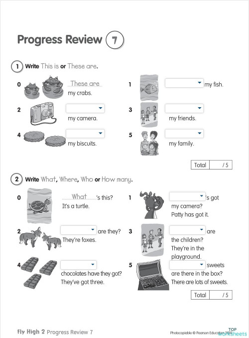Fly High PR 7. Interactive worksheet | TopWorksheets